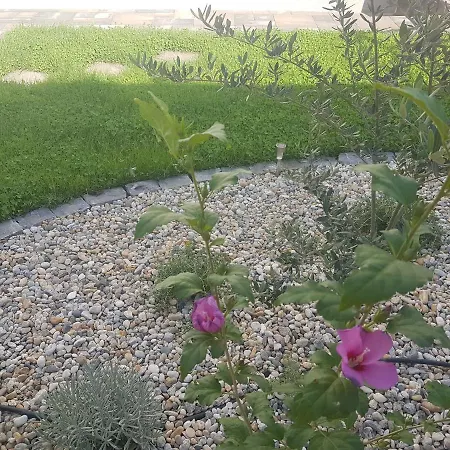 Kiara Affittacamere Punat