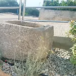 Kiara بونات