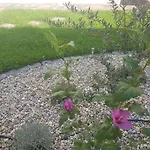 Kiara بيت ضيافة بونات