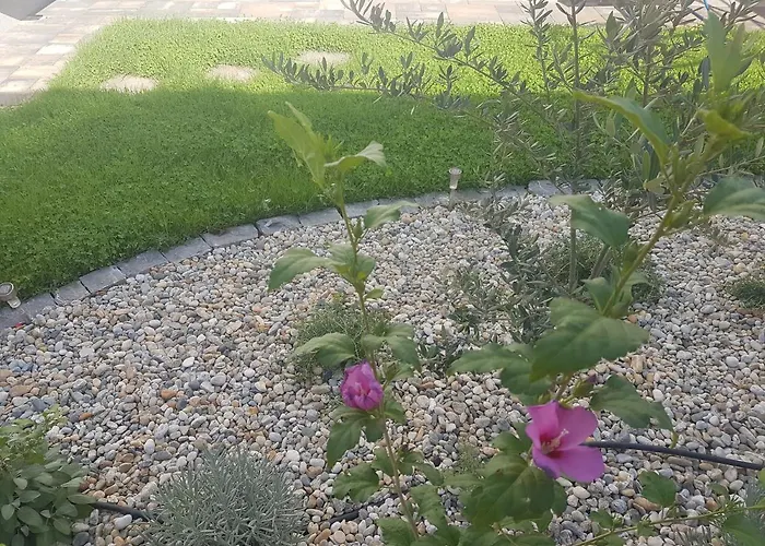 Kiara 招待所 普纳特